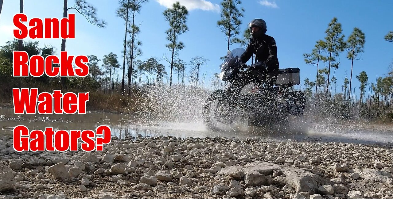 Adventure Riding In The Everglades