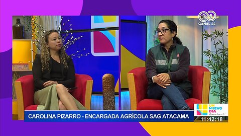 Carolina Pizarro Encargada agrícola Sag Atacama