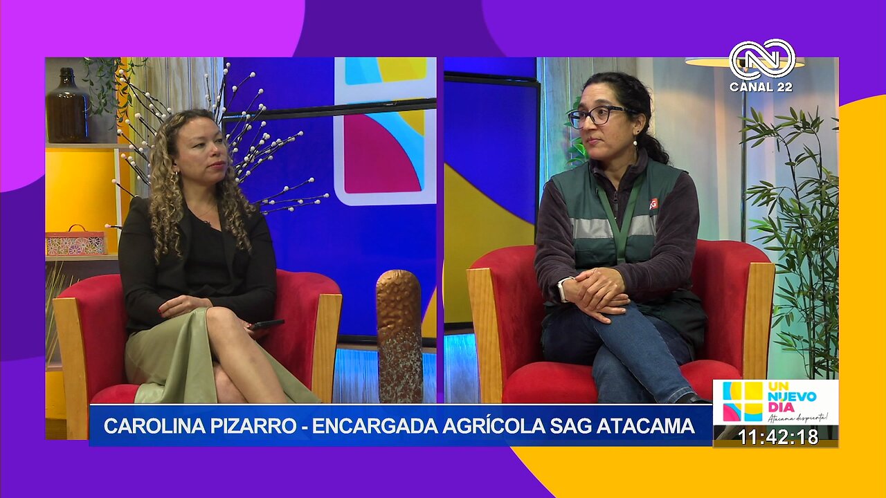 Carolina Pizarro Encargada agrícola Sag Atacama