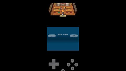 Pokemon Hoenn White 2