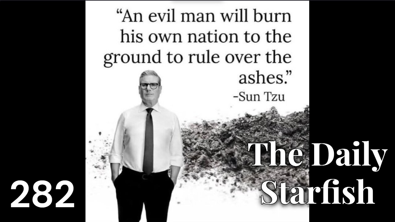 The Daily Starfish #282