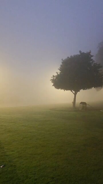 winter vibes in morning Qatar