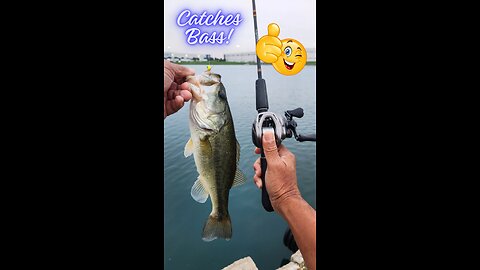 WOW, It Catches Bass, Too! #bfsfishing #fishing #bass #microjigs