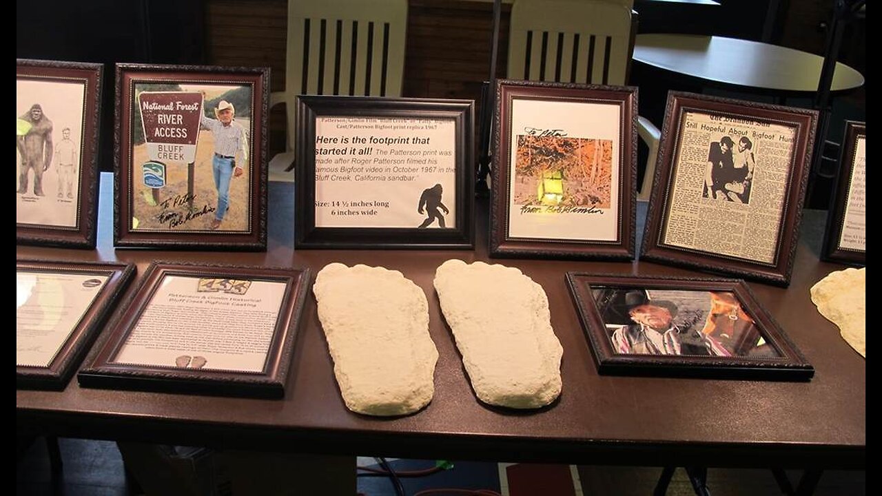 Hoax Frightening Dog Vs. Bigfoot Encounter Deemed 'Credible.'