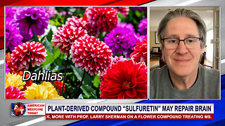 Using Flowers to Treat MS and Cancer w/ Dr. Larry Sherman