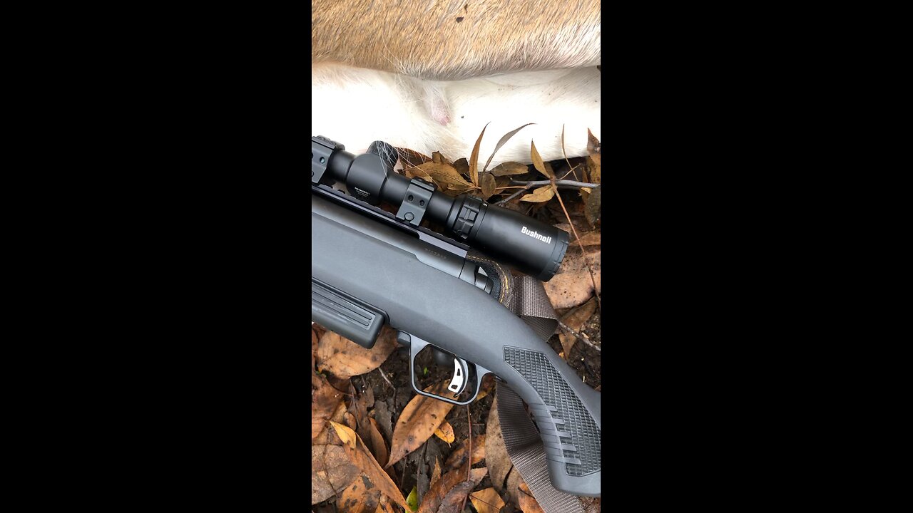 5 point down