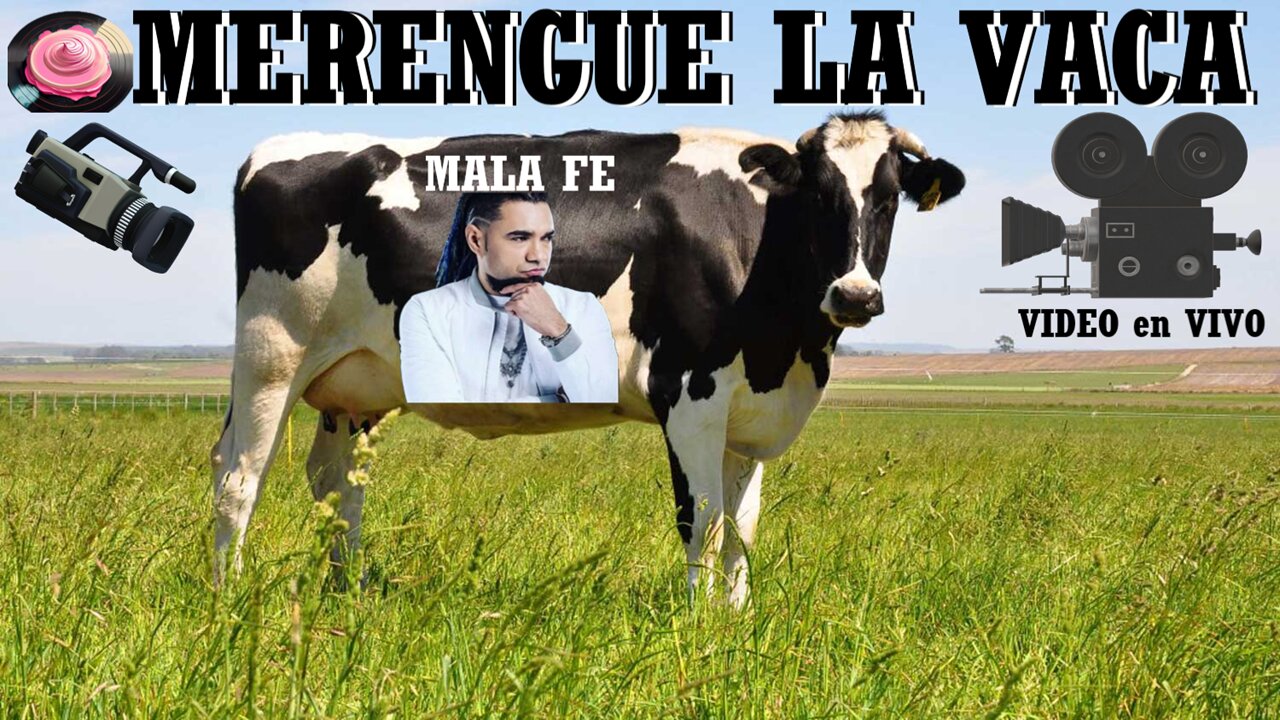 MERENGUE LA VACA