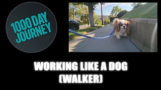 1000 Day Journey 0767 Working like a Dog... Walker