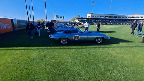 Do you like classic car Shorts? #cars