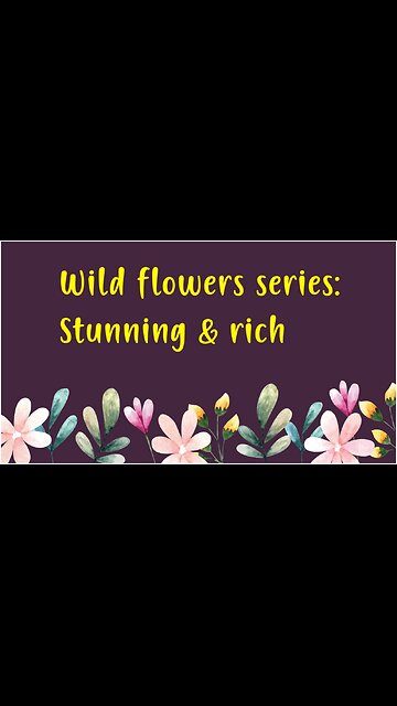 Wild flowers series: Stunning & rich