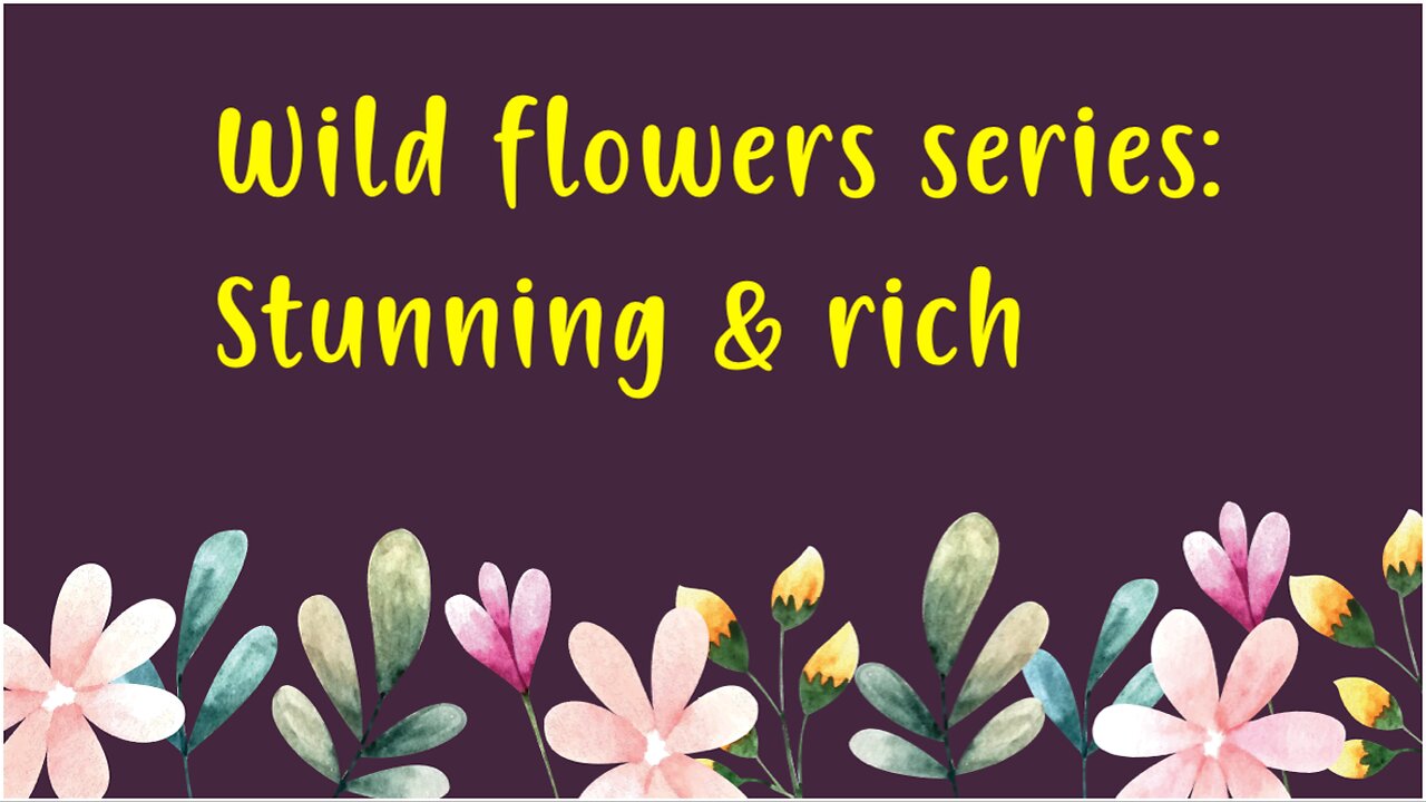 Wild flowers series: Stunning & rich