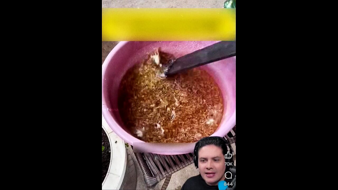 intentalo en casa pleve