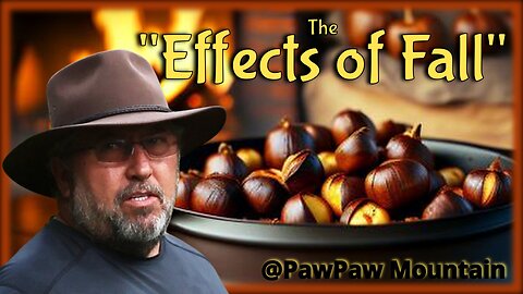 Chestnut Harvesting / Processing and Cooking!