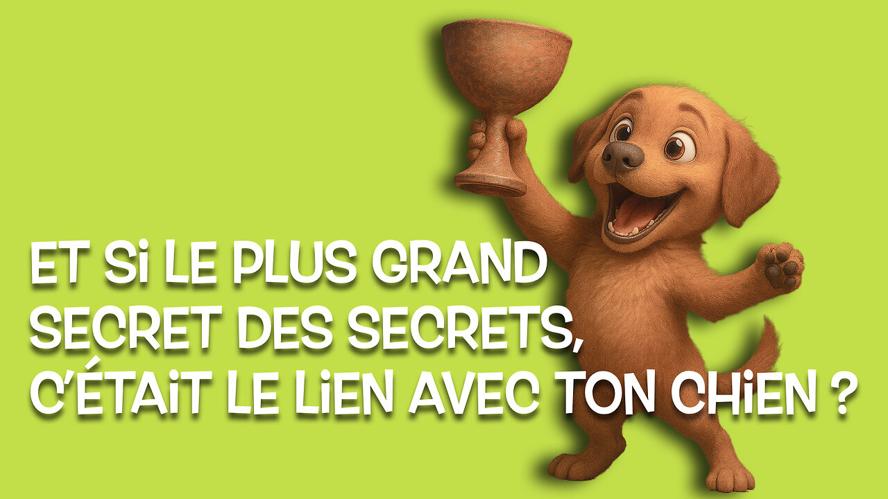 Créer un duo fort avec ton chien ado : le lien avant la performance