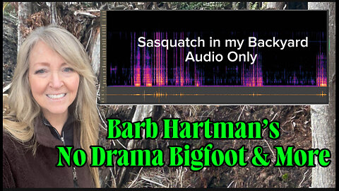 Sasquatch in my backyard - AUDIO ONLY