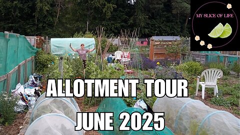 6. Tour around my Allotment plot for June 2025!
