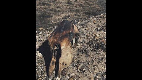 🚨Breaking News!🚨