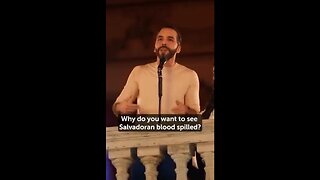 The President of El Salvador, Nayib Bukele, is an absolute LEGEND!
