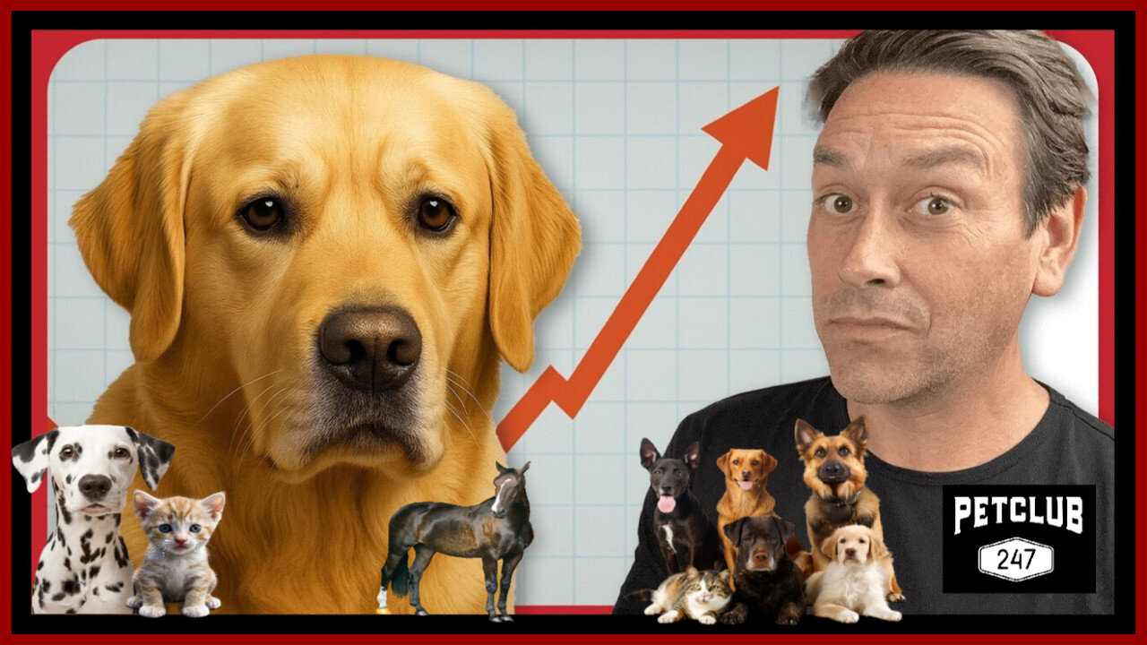♡🐾👦🏻 Why are Cancer Rates SKYROCKETING in Children and Our Beloved Pets? This EMERGENCY Has a Solution ❤︎ Links Below 👇
