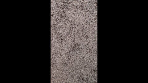 test 55