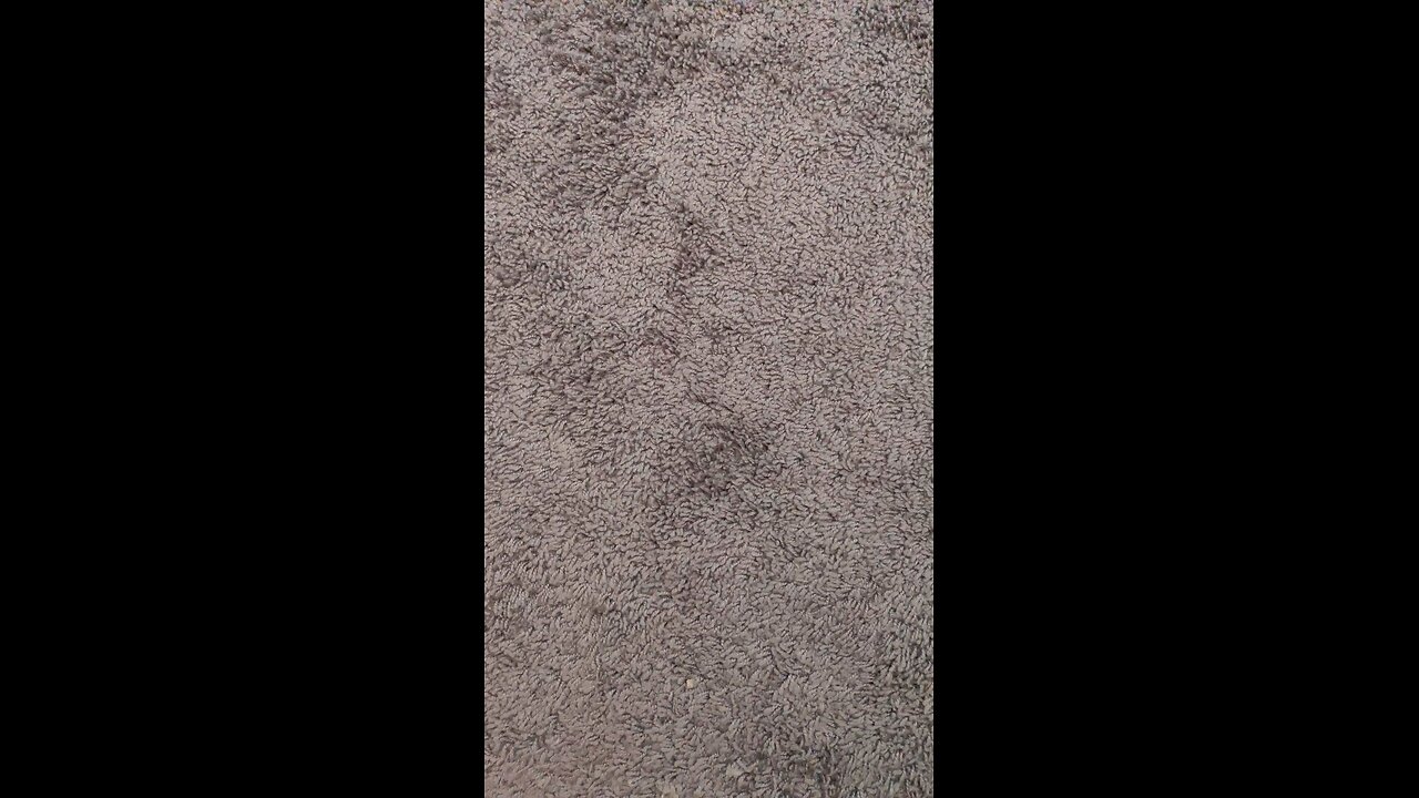 test 55