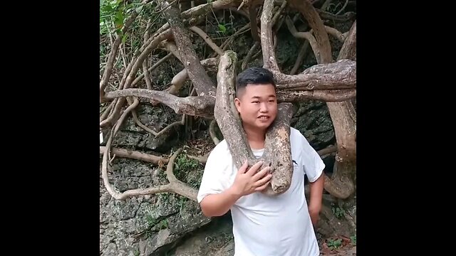 comedy video is
