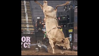 Cowboy Up Manhater! [Fuck Israel] LIVE 5:58pm Chat With SpaceyCasey82