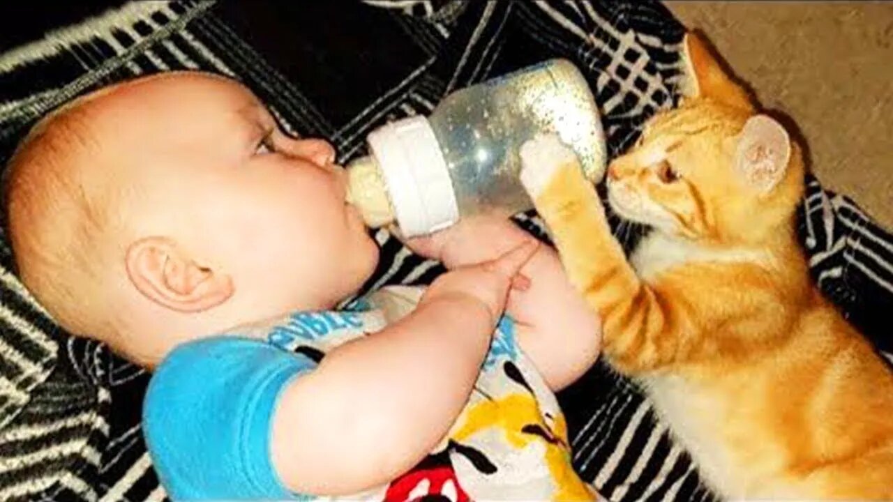 Cats Who Love Your Baby Since The Moment They Met ❤️