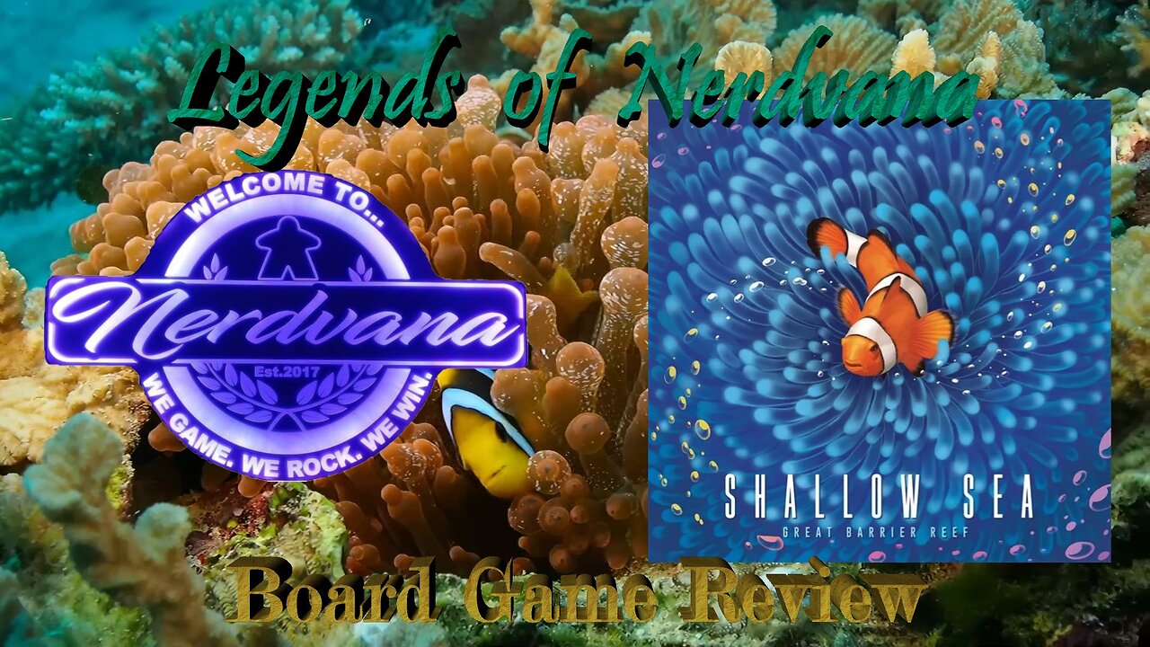 Shallow Sea Board Game Review