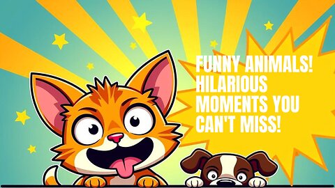 Cats & Dogs Being Absolutely Hilarious 🐱🐶