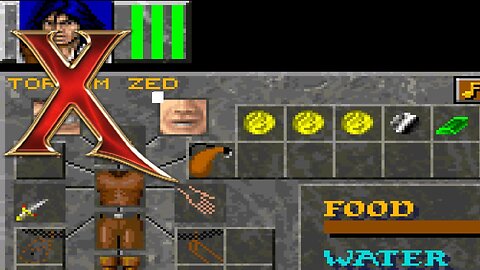 No Torham at the beginning of the RTC version of Dungeon Master 2 [CZ/EN]