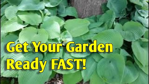 Preparing Your Garden for Planting Essential Steps for a Thriving Growing Season