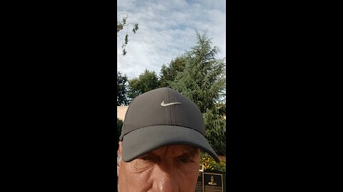 Elon NGOs POLITICIANS