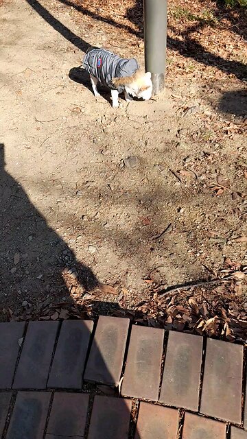 20260101. Thanks to God.