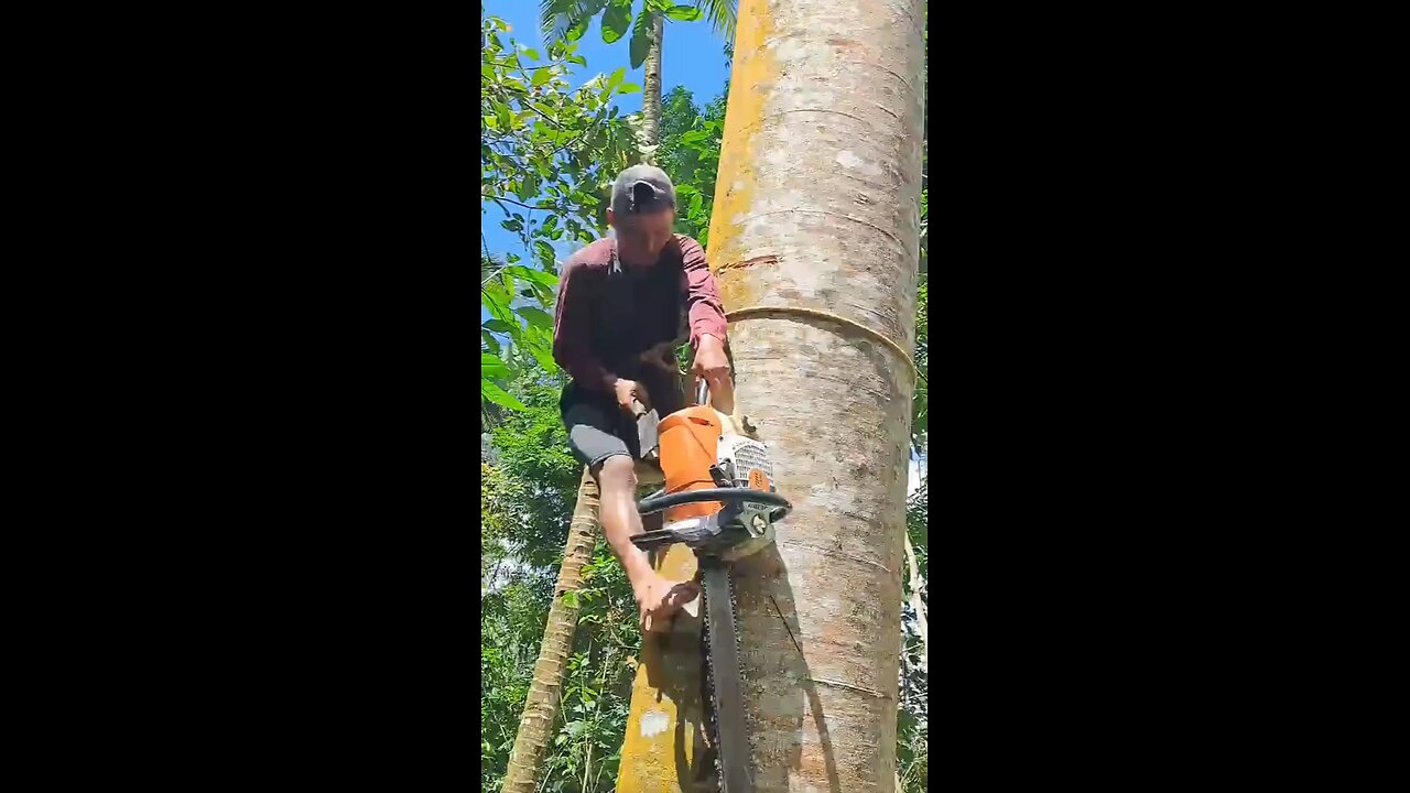 Nice job is man