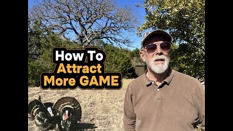 Wild Hogs, Whitetails & Turkey… Try This!