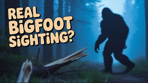 7 bigfoot videos that could be REAL!