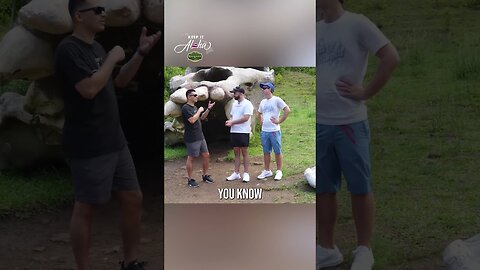 Love on the Spectrum star Connor Tomlinson sees his autism as a strength