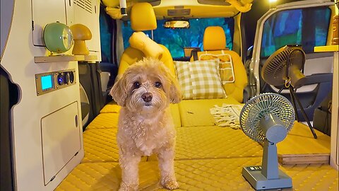 Puppy's Point of View Camping ｜ Upi's Camping Diary ｜ Car Camping