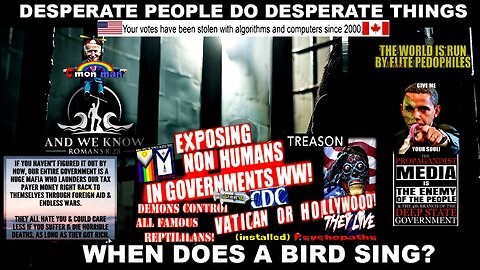 8.6.25: DESPERATE PEOPLE do DESPERATE things, When does a bird sing? BO Testimony, Sessions, Popcorn