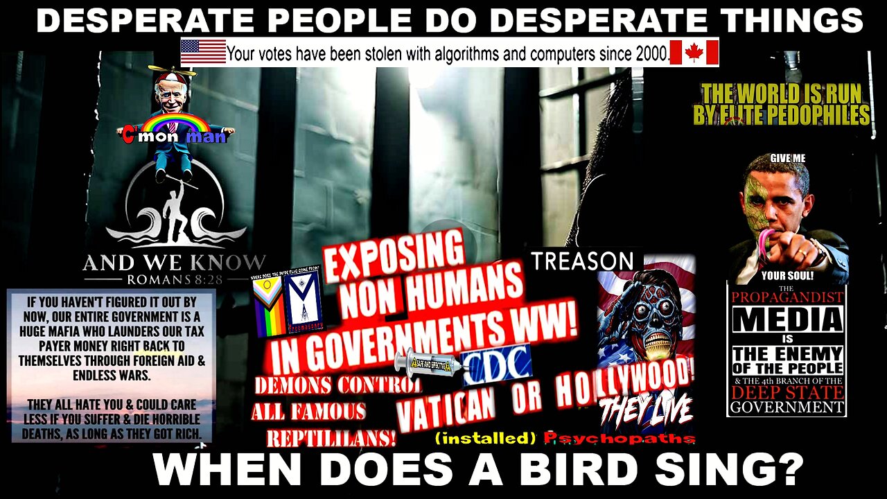 8.6.25: DESPERATE PEOPLE do DESPERATE things, When does a bird sing? BO Testimony, Sessions, Popcorn