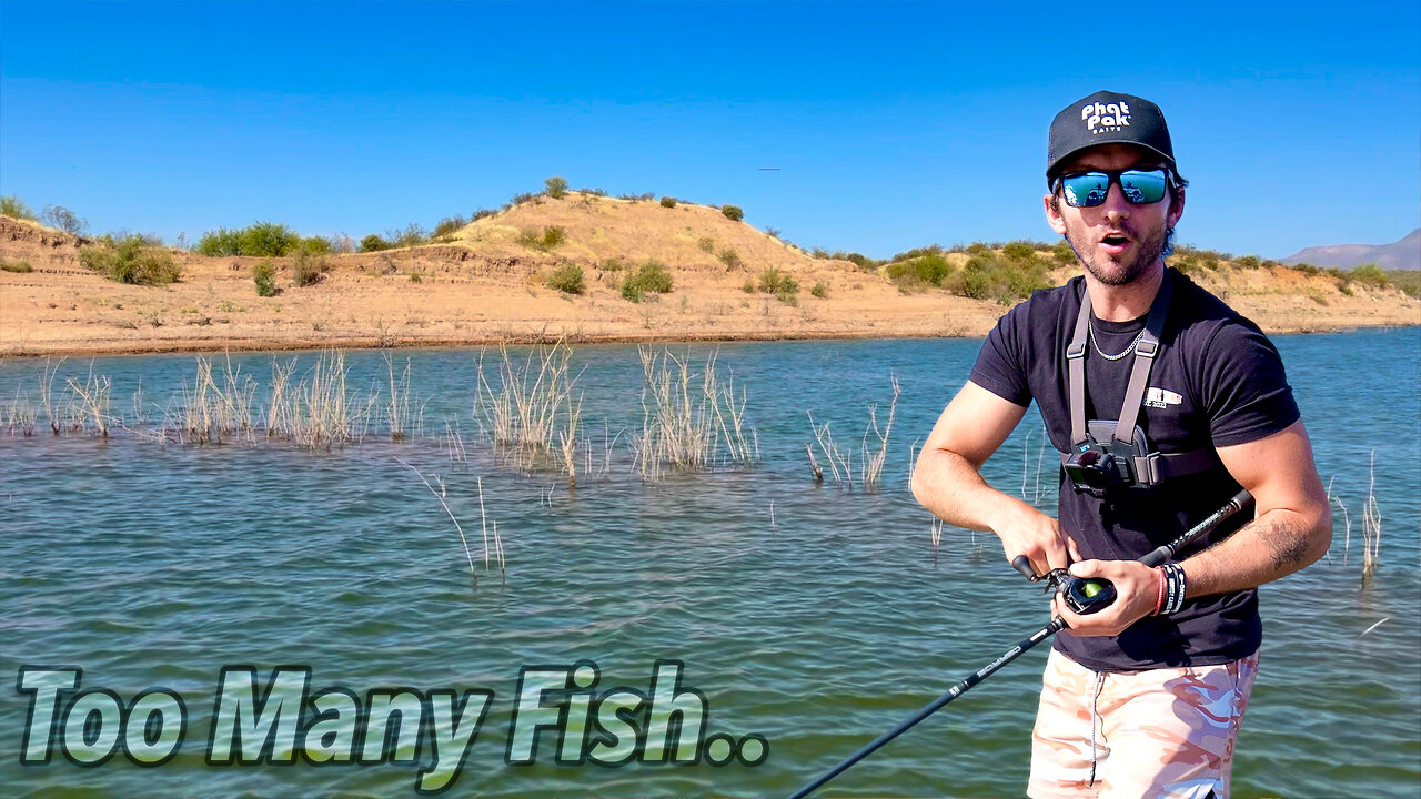 Fishing For BIG Bass in a MASSIVE Desert Lake