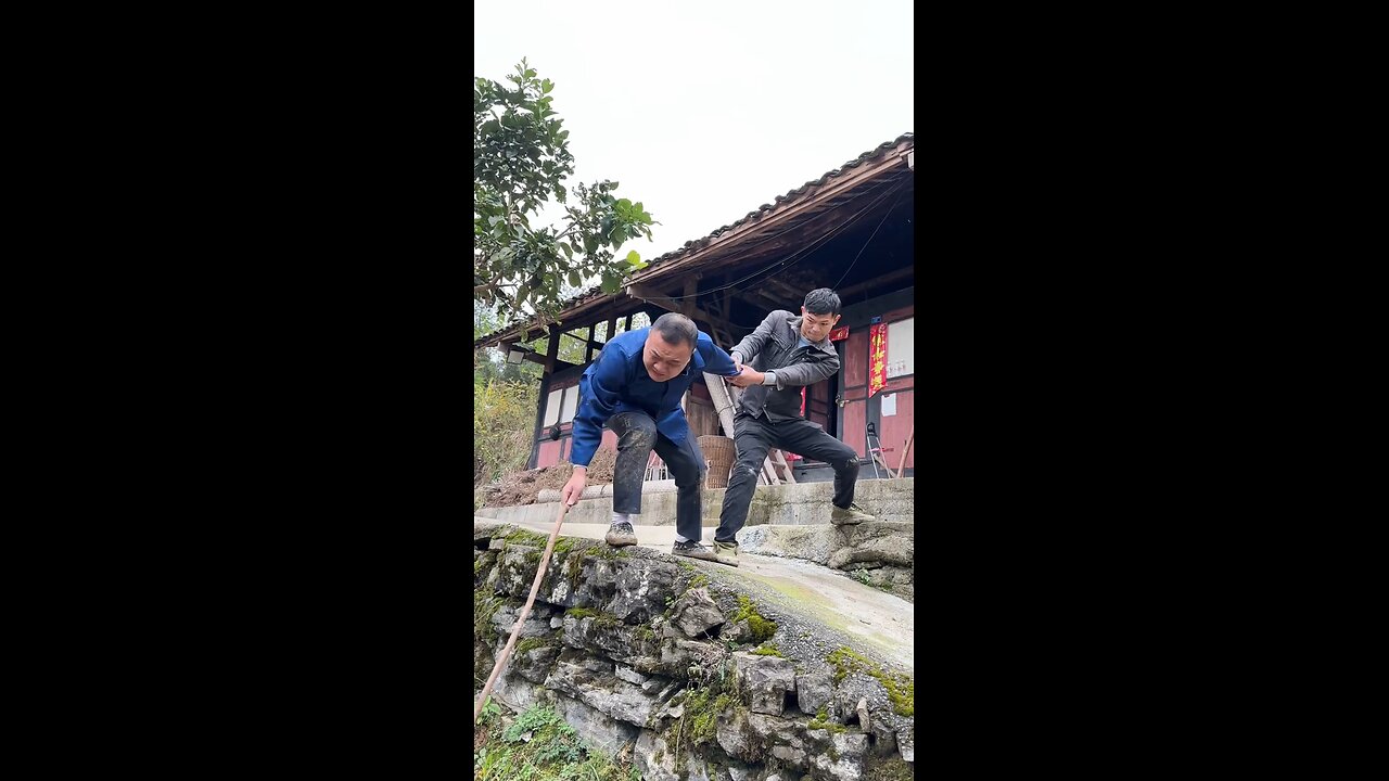 funny video| comedy video