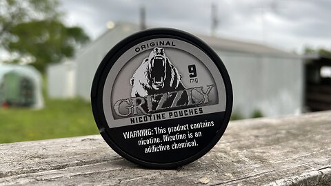 Grizzly Original (Nicotine Pouches) Review