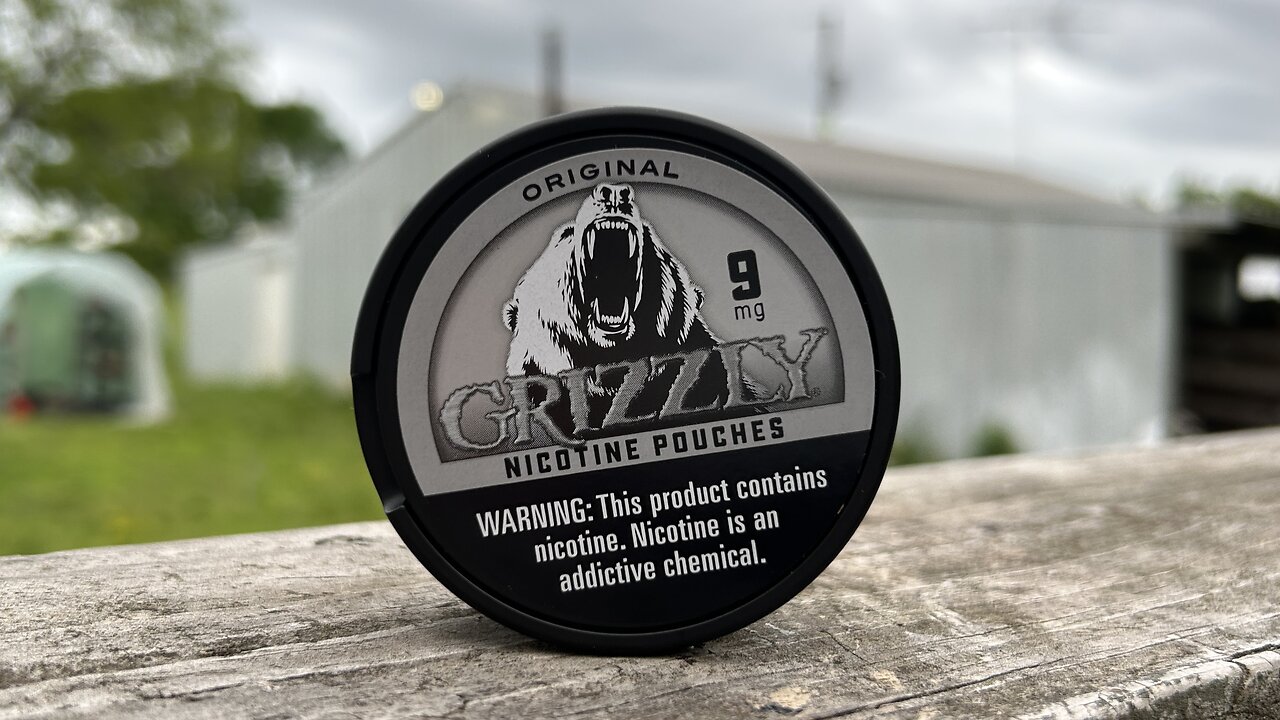 Grizzly Original (Nicotine Pouches) Review