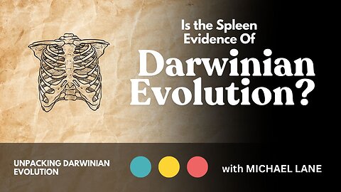 Is the Spleen Evidence of Darwinian Evolution?