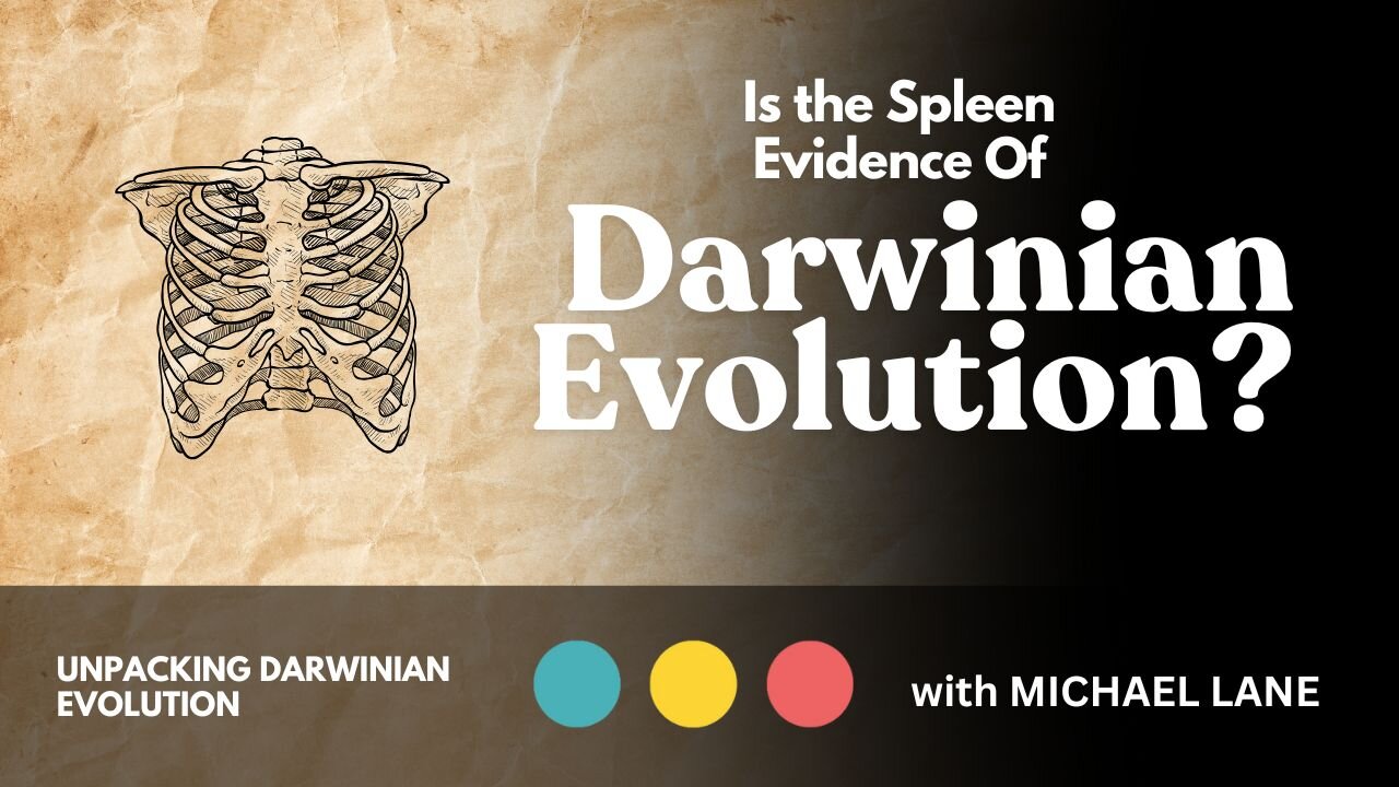 Is the Spleen Evidence of Darwinian Evolution?
