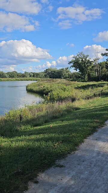 A Fawn Crosses my Path