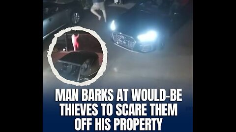 Two thieves had a wild night after a Melbourne homeowner gave them the fright of their lives