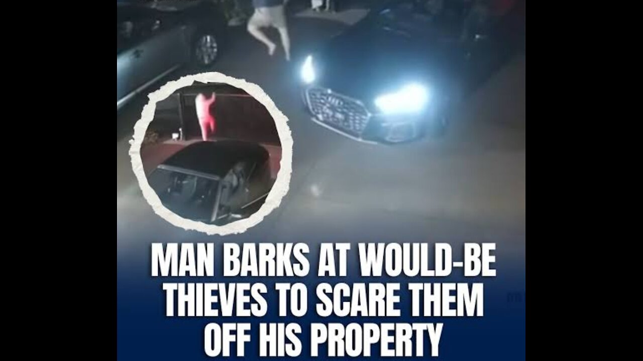 Two thieves had a wild night after a Melbourne homeowner gave them the fright of their lives